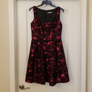 Pink and black lace fit and flare dress